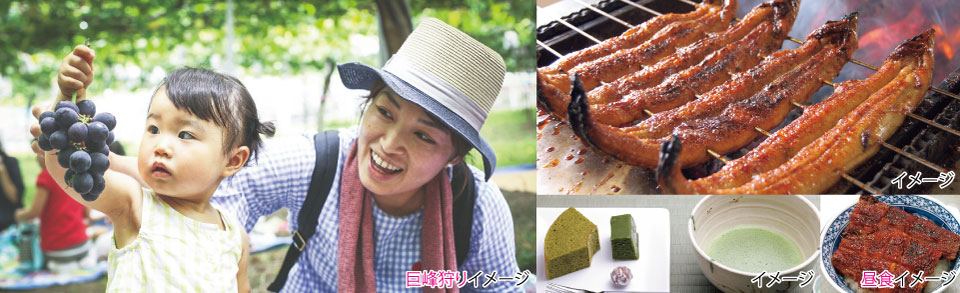 三河 一色産うなぎと西尾の抹茶 駒立巨峰狩 イメージ