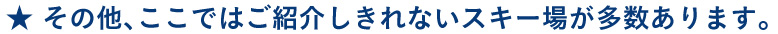 その他、ここではご紹介しきれないスキー場が多数あります。